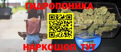 амф Кандалакша