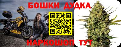 apvp Камышлов