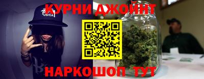 apvp Камышлов