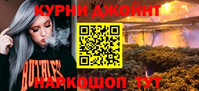 apvp Камышлов