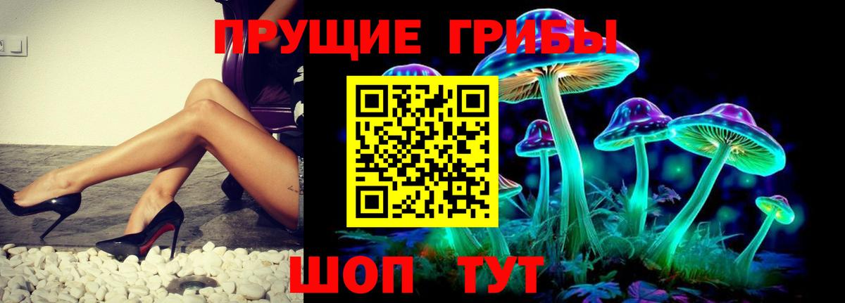 Галлюциногенные грибы Psilocybine cubensis Тимашёвск