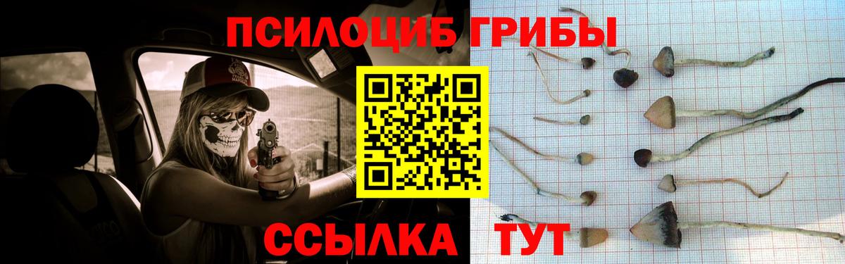 Галлюциногенные грибы Psilocybine cubensis  Псилоцибиновые грибы GOLDEN TEACHER  Тимашёвск  Вход с VPN 